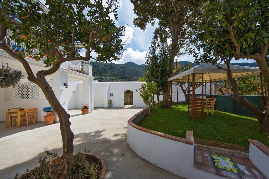 La Limonaia Anacapri (Isola di Capri)
